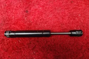 Robinson R44 II Door Gas Spring